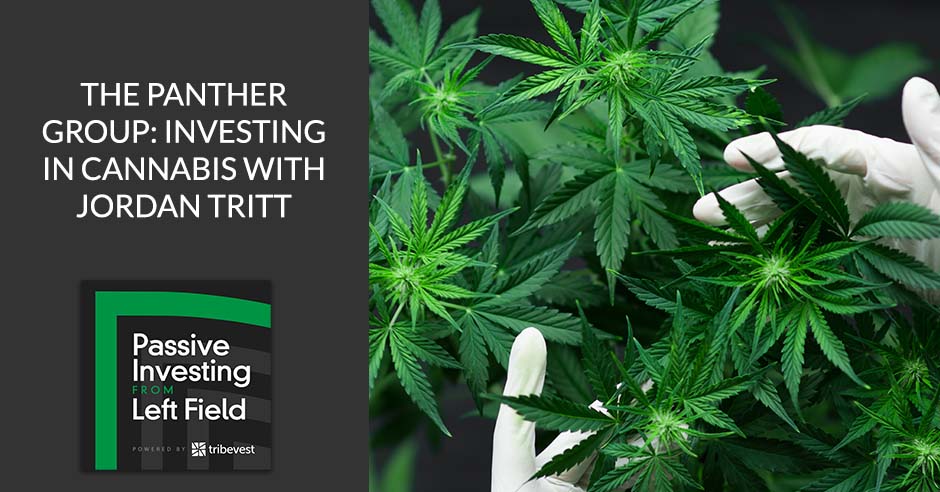PILF 96 | Investing In Cannabis