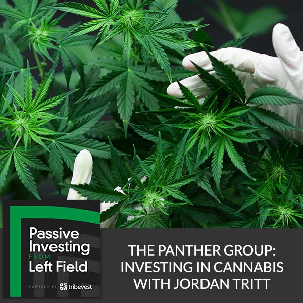PILF 96 | Investing In Cannabis